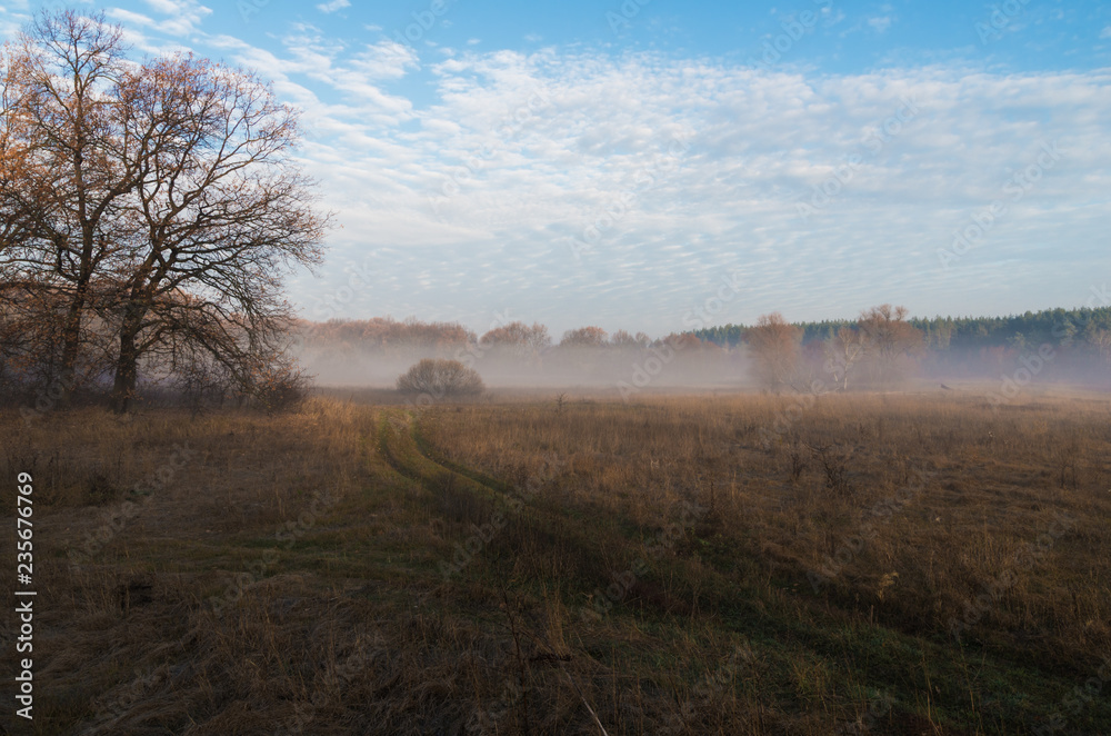 Morning autumn landscape with a rural road through misty meadow, disappearing in the foggy forest on the background of blue sky with white clouds Morning autumn landscape with a rural road through misty meadow, disappearing in the foggy forest on the background of blue sky with white clouds