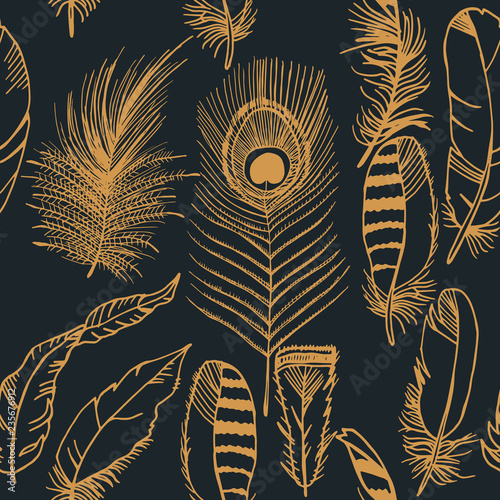 feather seamless pattern hand drawn sketch, peacock, jay
