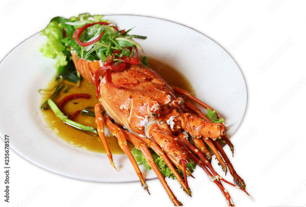 Cooked spiny lobster in white dish isolated Cooked spiny lobster in white dish isolated
