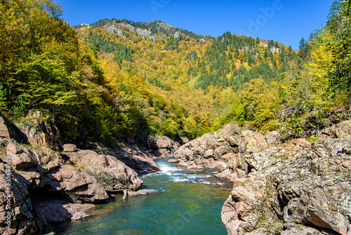 Fototapeta Naklejka Na Ścianę i Meble -  Landscape with mountain river and forest in autumn