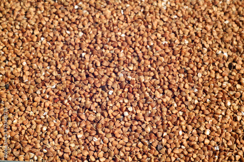 Pile of buckwheat close-up. © pavelalexeev