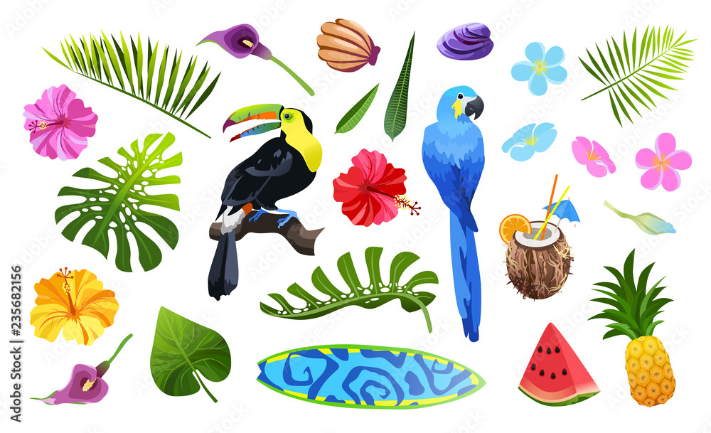 Obraz premium tropical objects set
