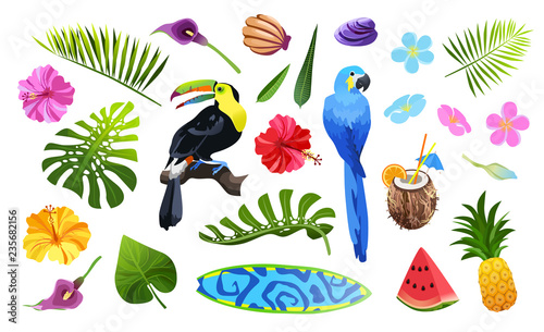 tropical objects set