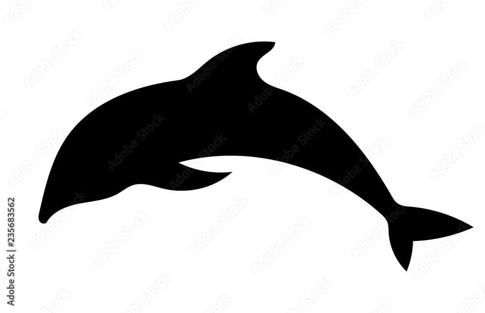 dolphin dolphin