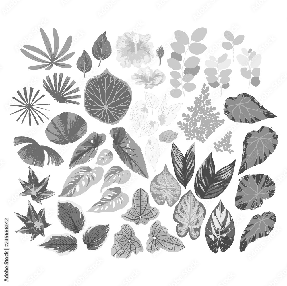 Vector collection of different exotic leaves drawn in the technique of rough brush