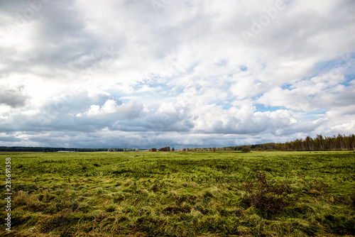 An autumn landscape. A view of the green country agricultural field against stormy blue sky. Evcening light. Latvia photo