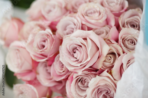 Closeup fresh pink rose flowers. Wedding ceremony bouquet. Florist decoration