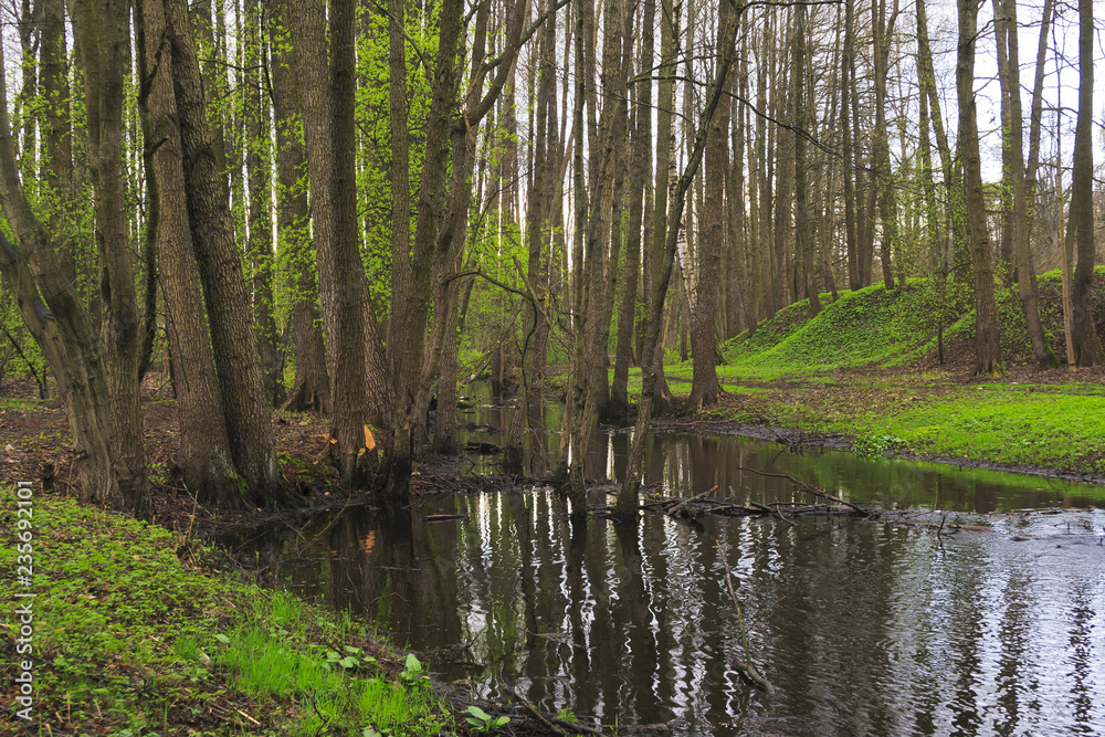 The river in the early spring. The river in the early spring.