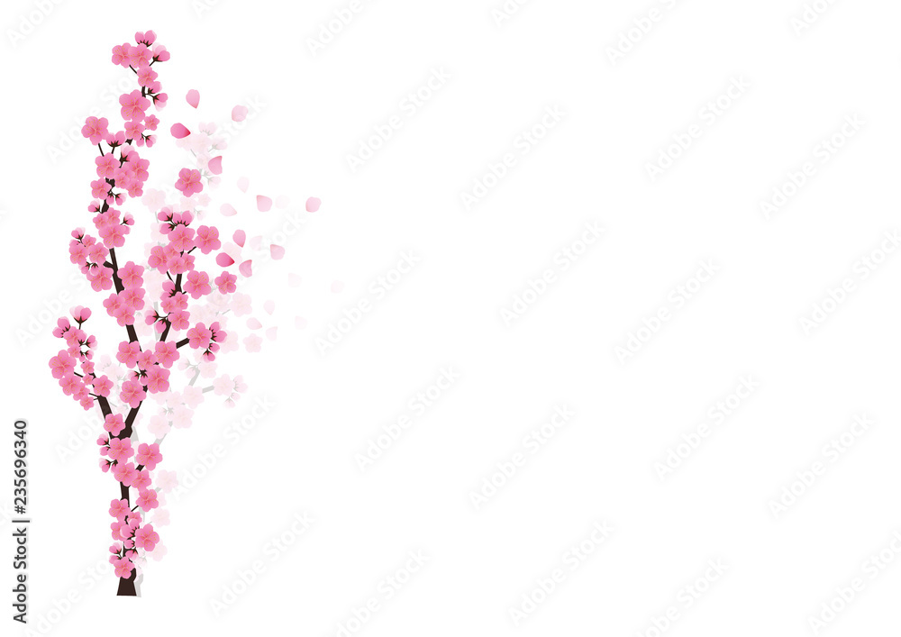 Naklejka premium Cherry blossom flowers background. Sakura pink flowers background.