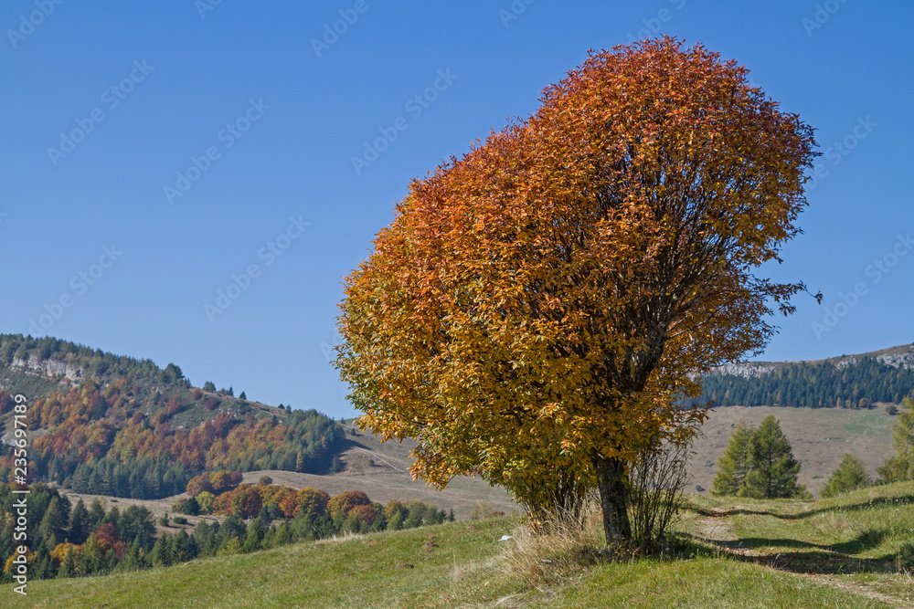 Herbst im Bondonegebirge
