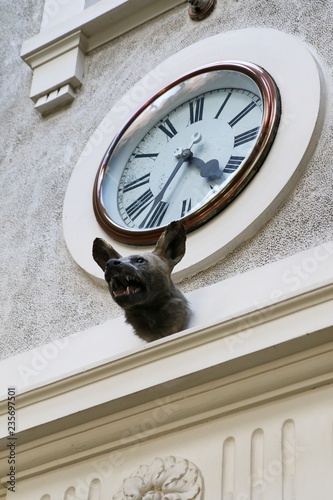 scarecrow, hyena, clock, time, watch, old, Łańcut, Poland,