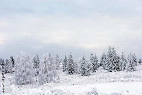 Winter landscape with frozen trees © salajean
