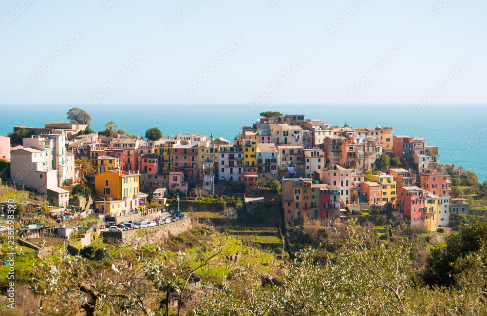 Overview of the colored houses of Corniglia