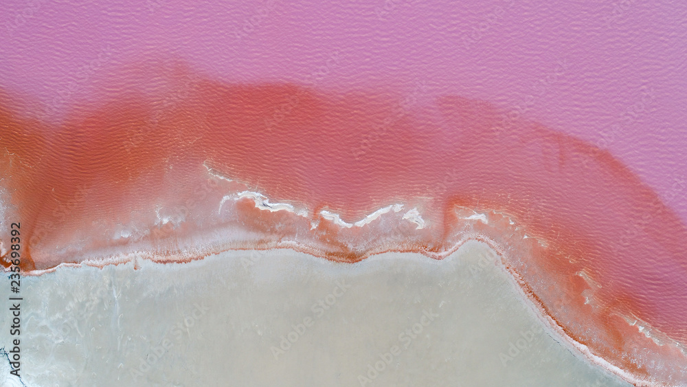 Fototapeta premium Rose salted laguna with coast of sand areal top view drone photography