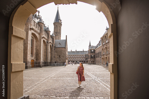 Quadro su tela Beautiful view through the Arch to the medieval Binnenhof castle