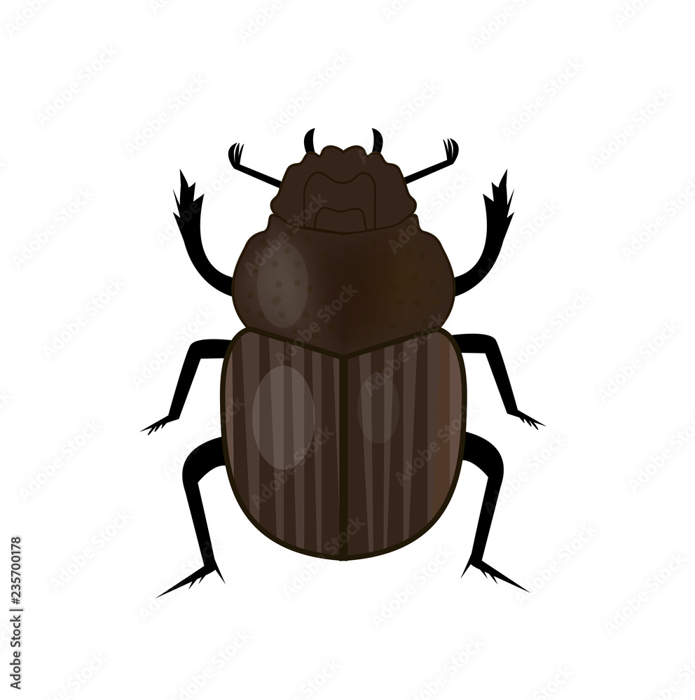 Scarab beetle insect icon, flat style. Symbol of ancient Egypt. Isolated on white background. Vector illustration Scarab beetle insect icon, flat style. Symbol of ancient Egypt. Isolated on white background. Vector illustration