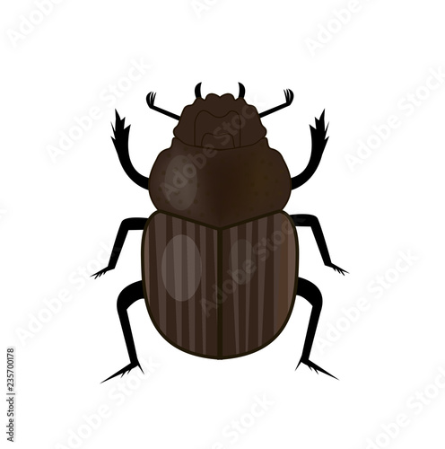 Scarab beetle insect icon, flat style. Symbol of ancient Egypt. Isolated on white background. Vector illustration