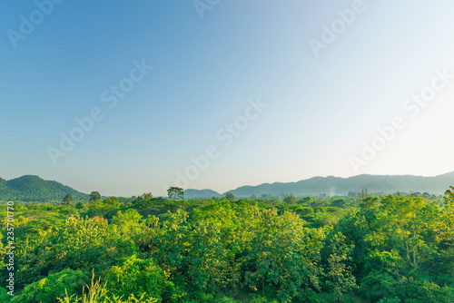 forest in sunny day,Spring landscape with blue sky,beautiful landscape nature of rain forest and mountain as background. green hill by trees and plants.
