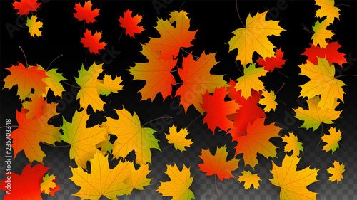 September Vector Background with Golden Falling Leaves. Autumn Illustration with Maple Red, Orange, Yellow Foliage. Isolated Leaf on Transparent Background. Bright Swirl. Suitable for Posters.