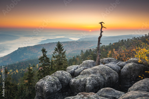 Fototapeta Naklejka Na Ścianę i Meble -  View from Szczeliniec in Stolowe mountains, Sudety, Poland