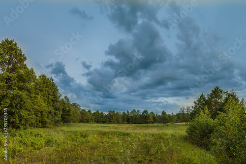Small field surrounded by forest on a cloudy day