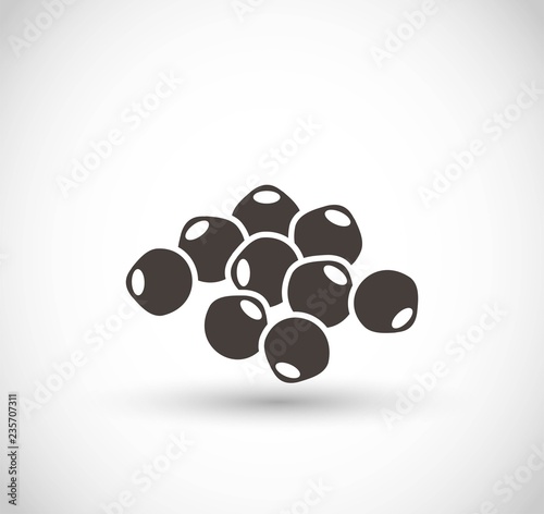 Mustard seed vector icon