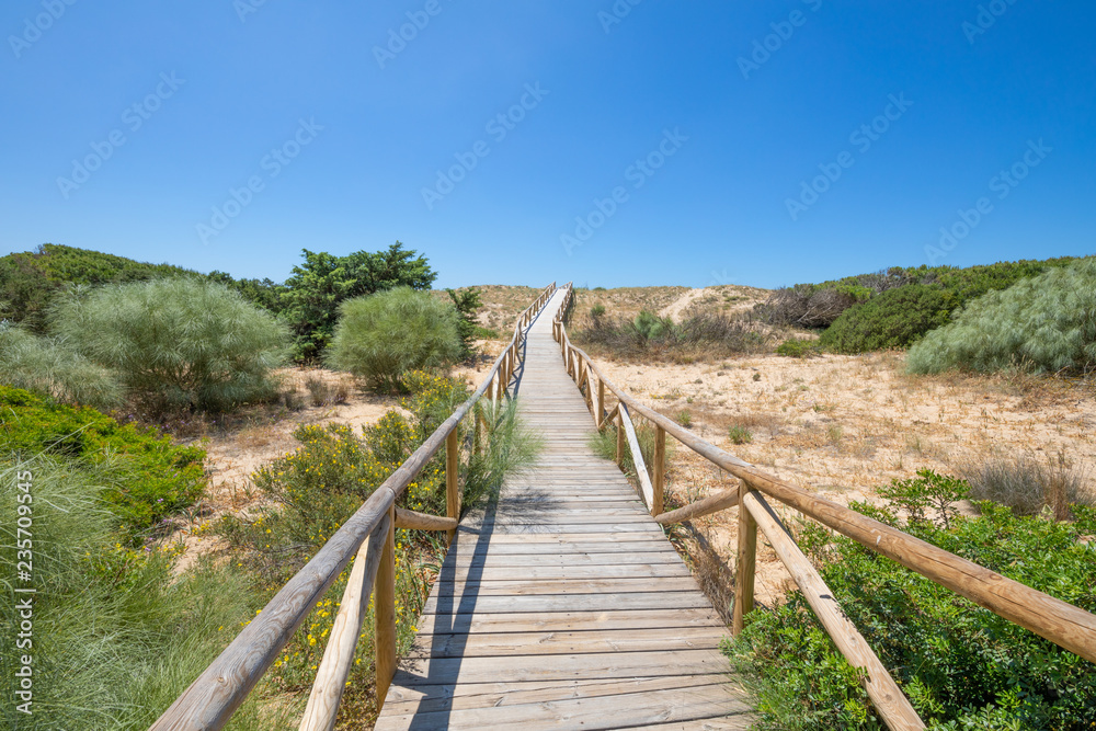 scenery of footbridge with wooden planks to the horizon in Natural Park of Trafalgar Cape, next to Canos Meca village (Barbate, Cadiz, Andalusia, Spain)