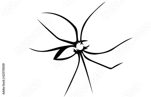 Spider
