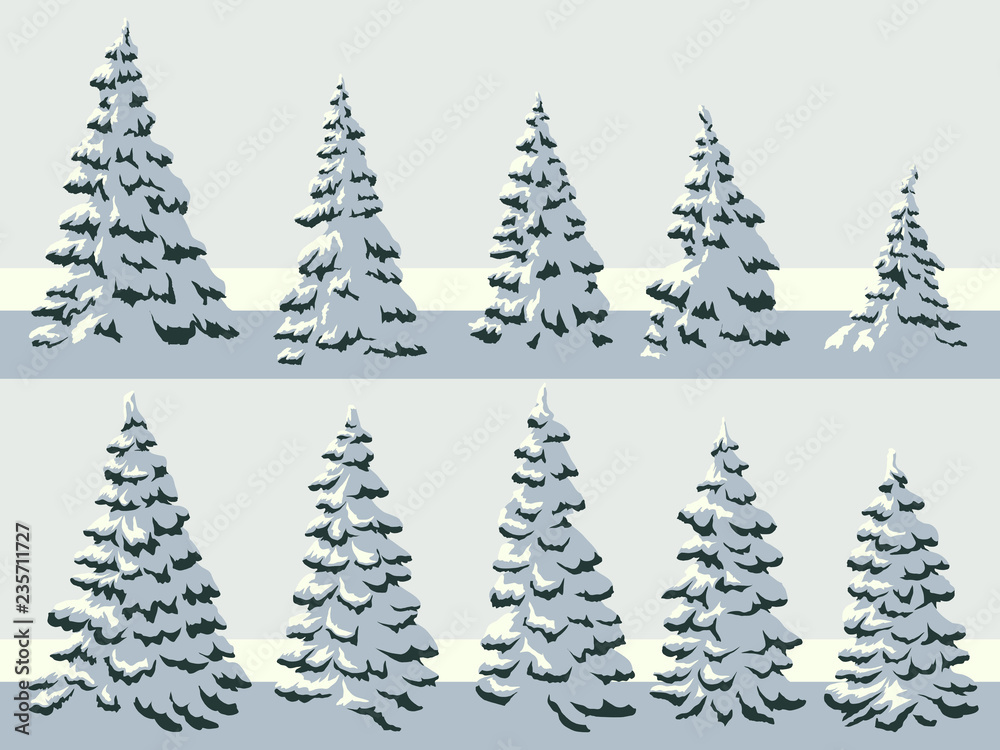 Simple illustration of snowy spruce trees (fir, fir-tree).