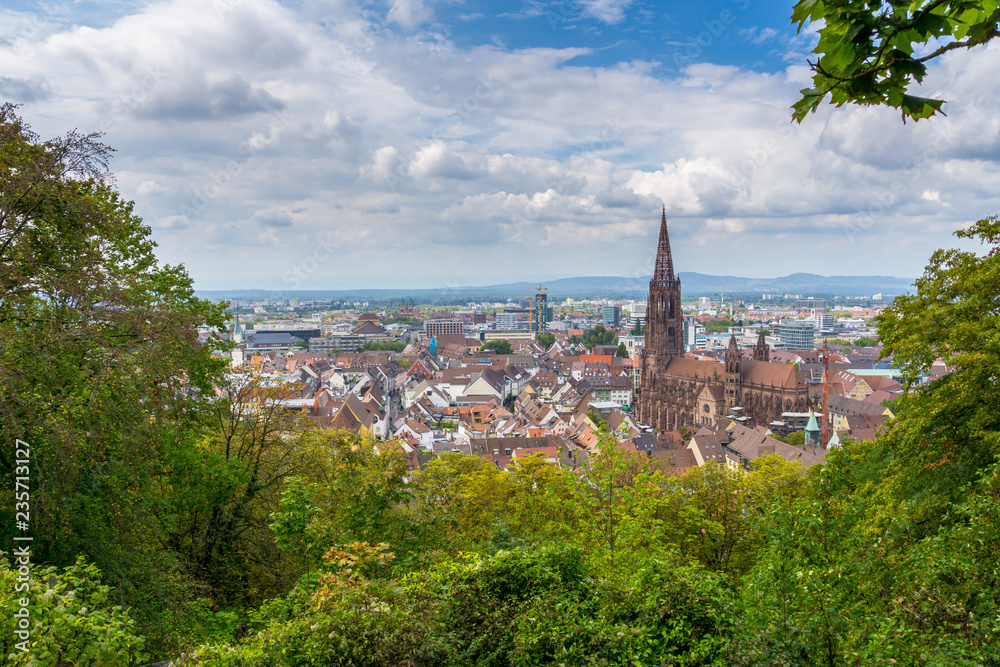Germany, Roofs of the City of Freiburg im Breisgau and the minster behind green plants