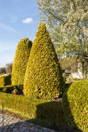 Cottage garden with topiary and trimmed bushes.