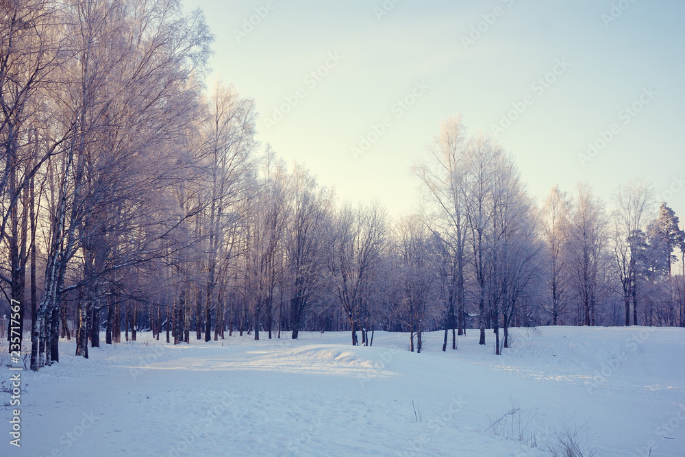 Winter landscape in clear weather. Frosty daylight at sunset Winter landscape in clear weather. Frosty daylight at sunset