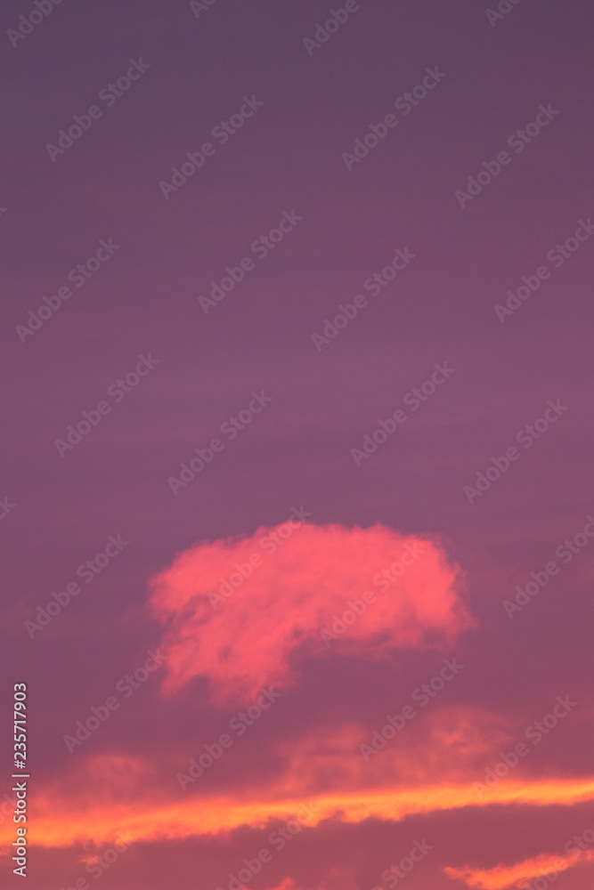 Obraz premium Small pink cloud at sky