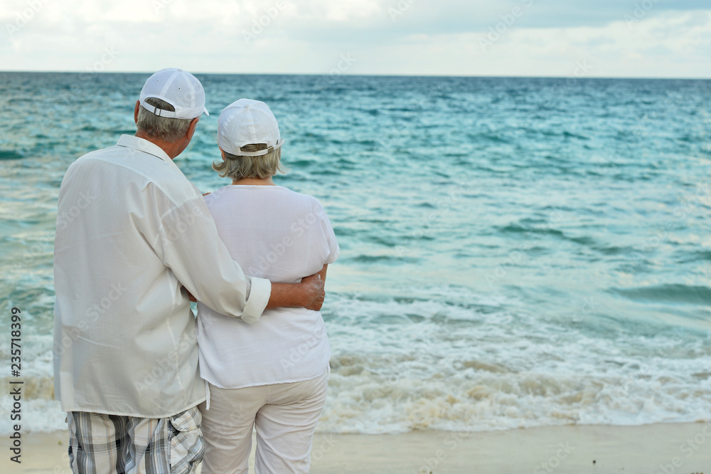 Portrait of an elderly couple on beach