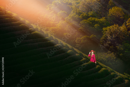 Asian woman model wear red dress in the middle of tea plantation located in South Korea. photo