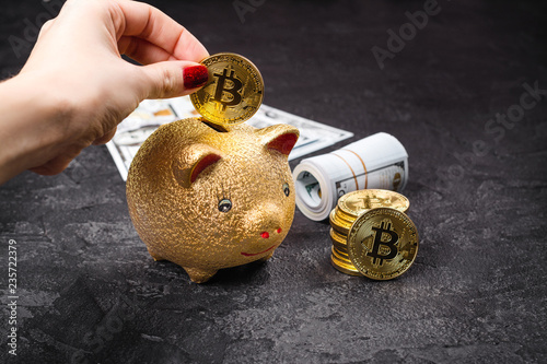 Bitcoins, currency and piggie bank photo