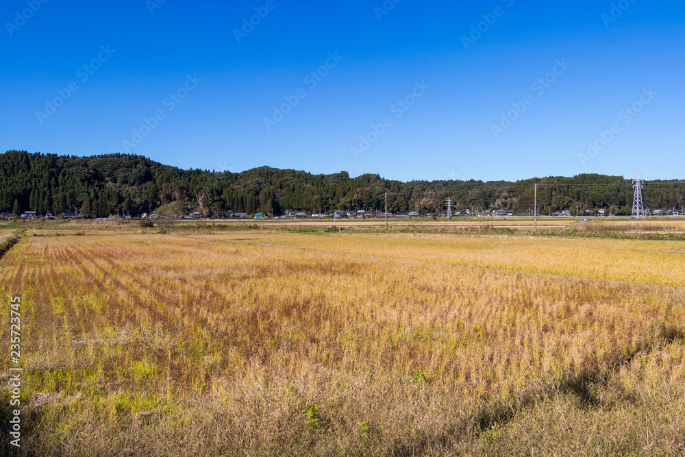 A peaceful landscape in the countryside of Japan / Isumi city, chiba prefecture, Japan