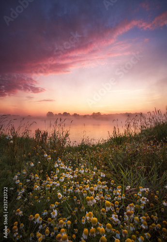 Sonnenaufgang am Wasser mit Nebel und roter Himmel (Frühling mit Blumen)