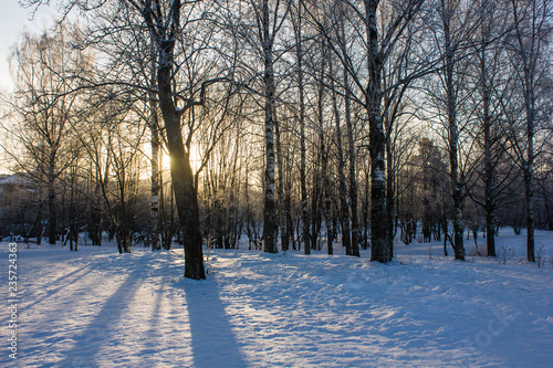 Winter landscape in clear weather. Frosty daylight at sunset