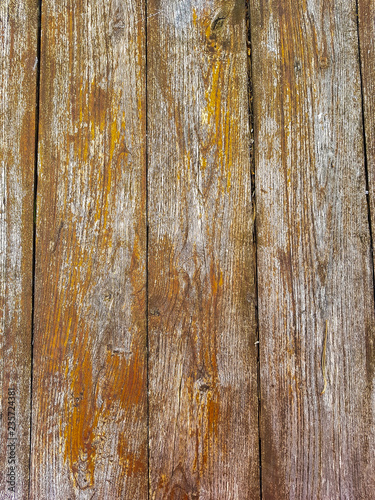 Wooden plank backdrop
