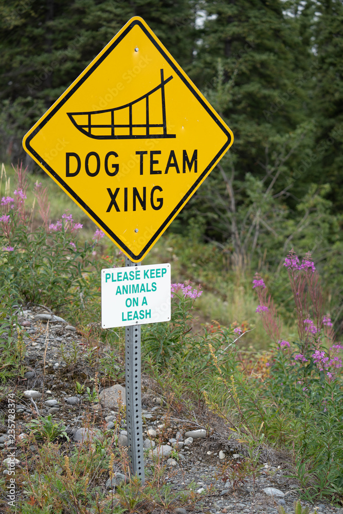 Dog Team Xing - Dog Sled team crossing road sign in Alaska - Portrait view