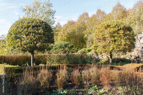 Cottage garden with green lawn, topiary oak trees and trimmed bushes.