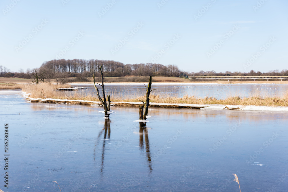 Binnensee im Winter mit leichter Eisdecke