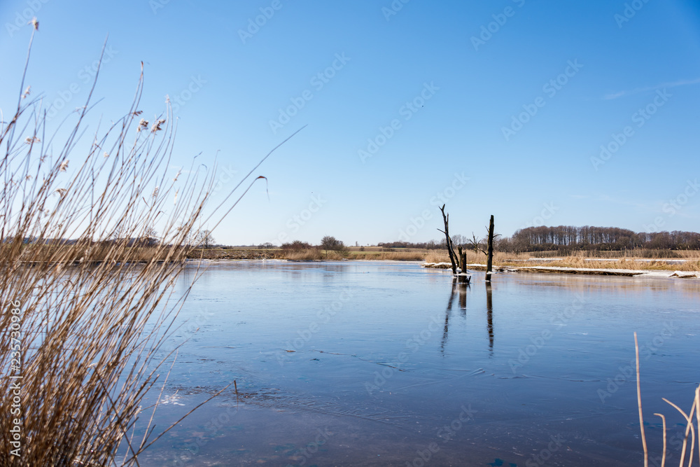 Überschwemmte Salzwiesen im Winter