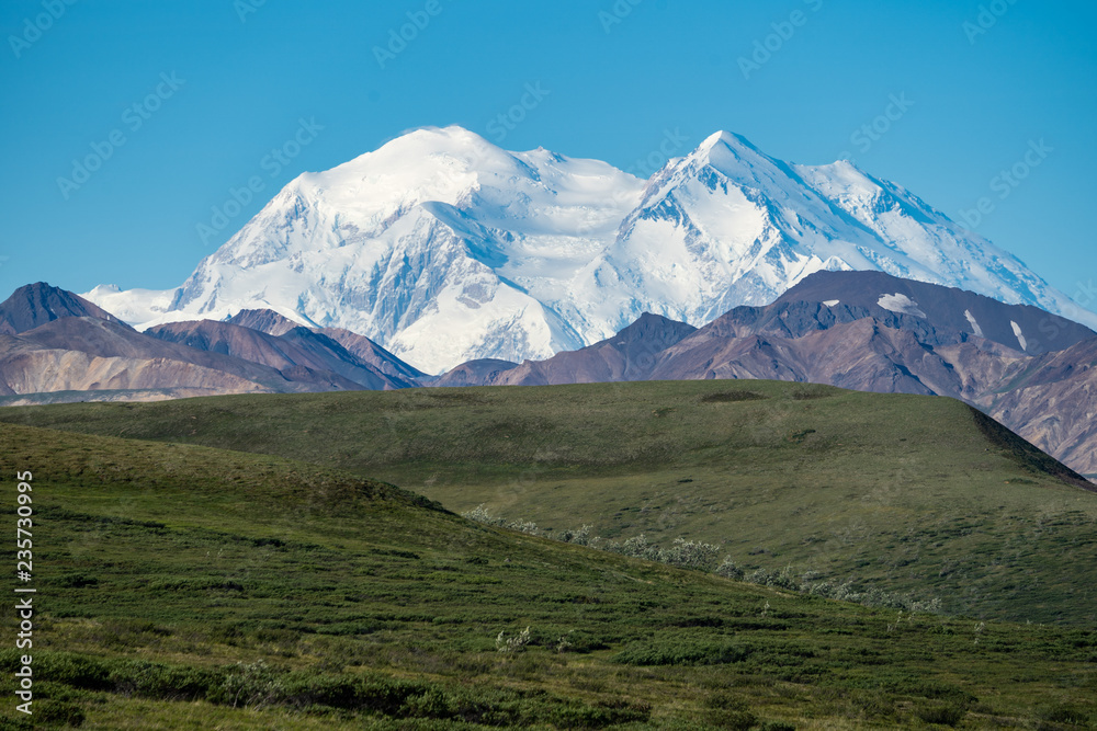 Denali National Park with the mountain in full view on a blue sky clear summer day.