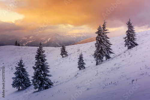 Fantastic orange winter landscape in snowy mountains glowing by sunlight. Dramatic wintry scene with snowy trees. Christmas holiday concept. Carpathians mountain, Ukraine, Europe