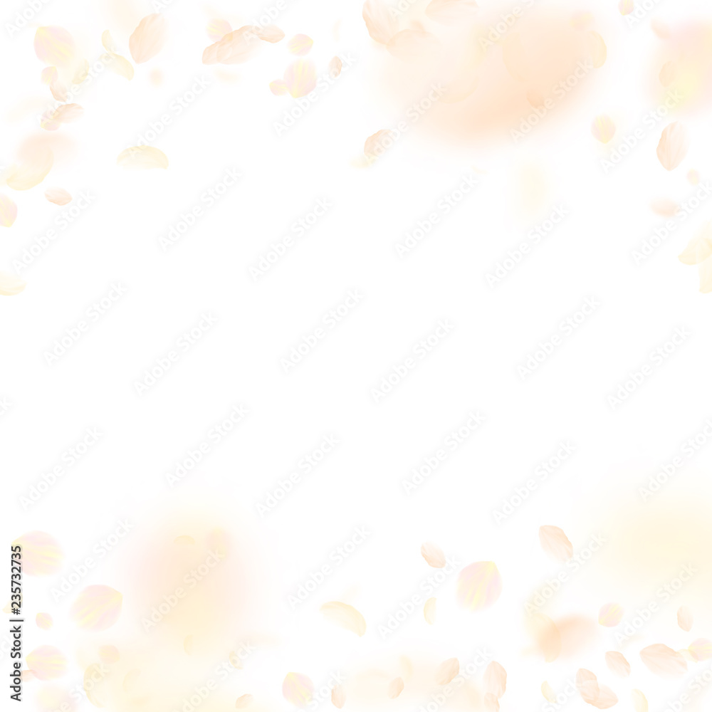 Yellow orange flower petals falling down. Neat rom Yellow orange flower petals falling down. Neat rom