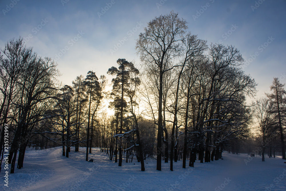Winter landscape in clear weather. Frosty daylight at sunset Winter landscape in clear weather. Frosty daylight at sunset