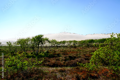 Sanddüne