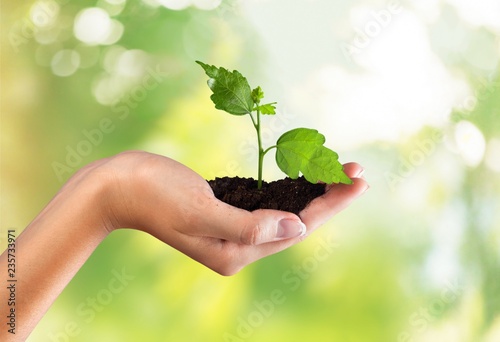 Green Growing Plant in Human Hand on beautiful natural